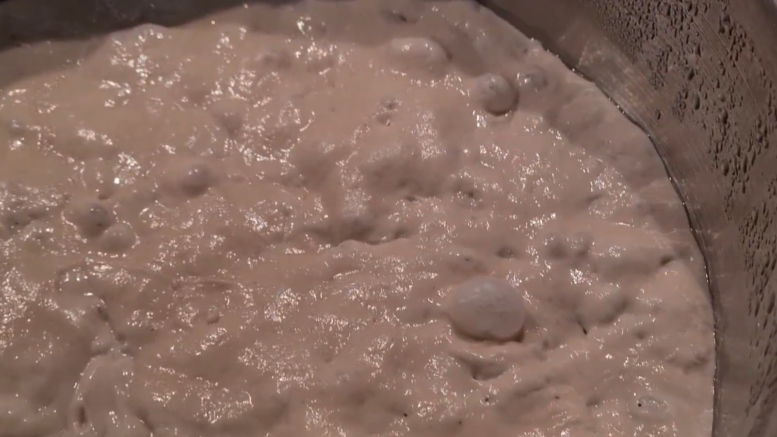 48 stunden pizzateig thermomix