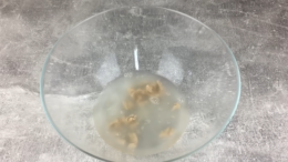 Backhefe für pizzateig